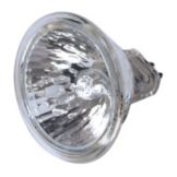 Halogen Flood Bulb, 50W