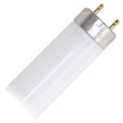 Cool White 15" Bulb, 14W