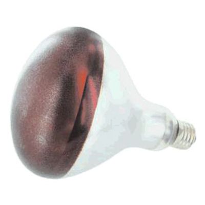 Accuserve Infrared Heat Lamp Bulb, 250 Watts
