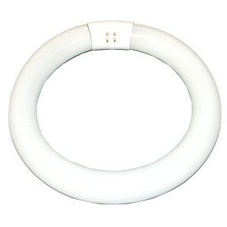 Cool White 12" 32W Light Bulb