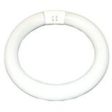 Cool White 12" 32W Light Bulb