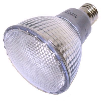 Compact Fluorescent Screw-In Bulb