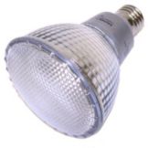 Compact Fluorescent Screw-In Bulb