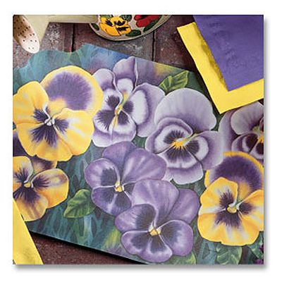 Hoffmaster&reg; Pansies Print9-3/4" x 14" Placemat