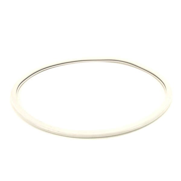 Gasket for Steam Trap