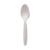 Dart&reg; Style Setter&reg; Medium Weight White Plastic Teaspoon