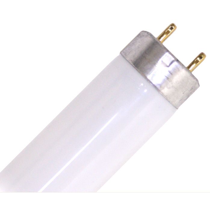 Accuserv 48" 32 WATT Fluorescent Bulb