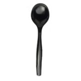 Sabert Disposable Black 10" Serving Spoon
