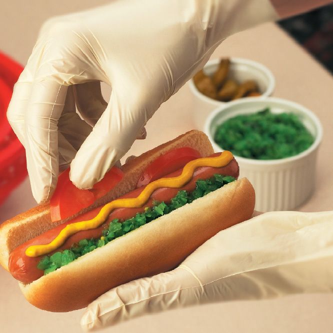 Food Handler Epic Large Synthetic Glove