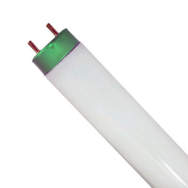 Accuserv Fluorescent 4 Ft Bulb