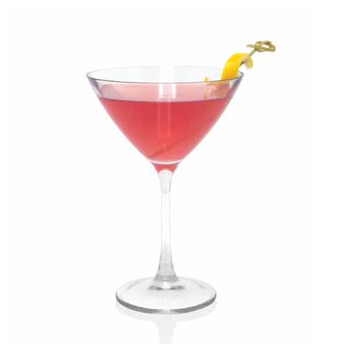 Front Of The House Drinkwise Plastic 10 Oz Martini Glass