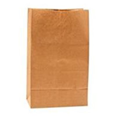 Duro Bag Co. 12 lb. Kraft Paper Grocery Bag