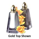 Reiner Products Malibu Glass Salt & Pepper Shaker w/ Chrome Top
