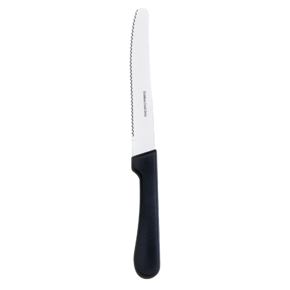 Browne Foodservice Carnival Steak Knife with Polypropylene Handle