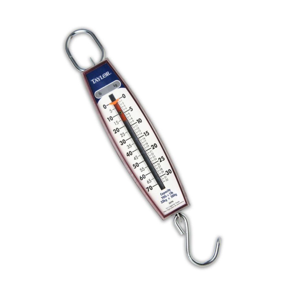 Taylor&reg; 70 lb. Hanging Scale