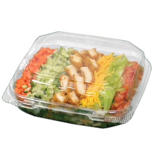 Pactiv Hinged Clear Plastic Container