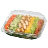 Pactiv Hinged Clear Plastic Container