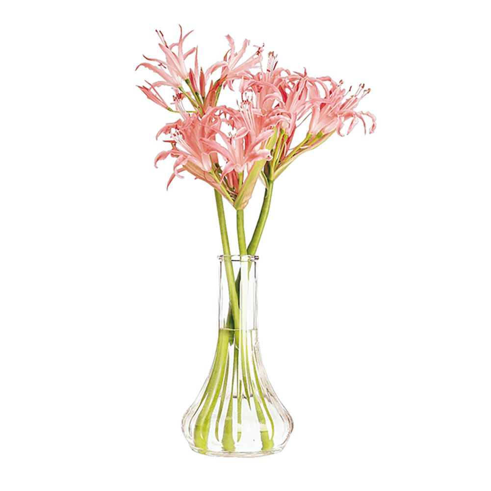 Cambro Clear Plastic Bud Vase