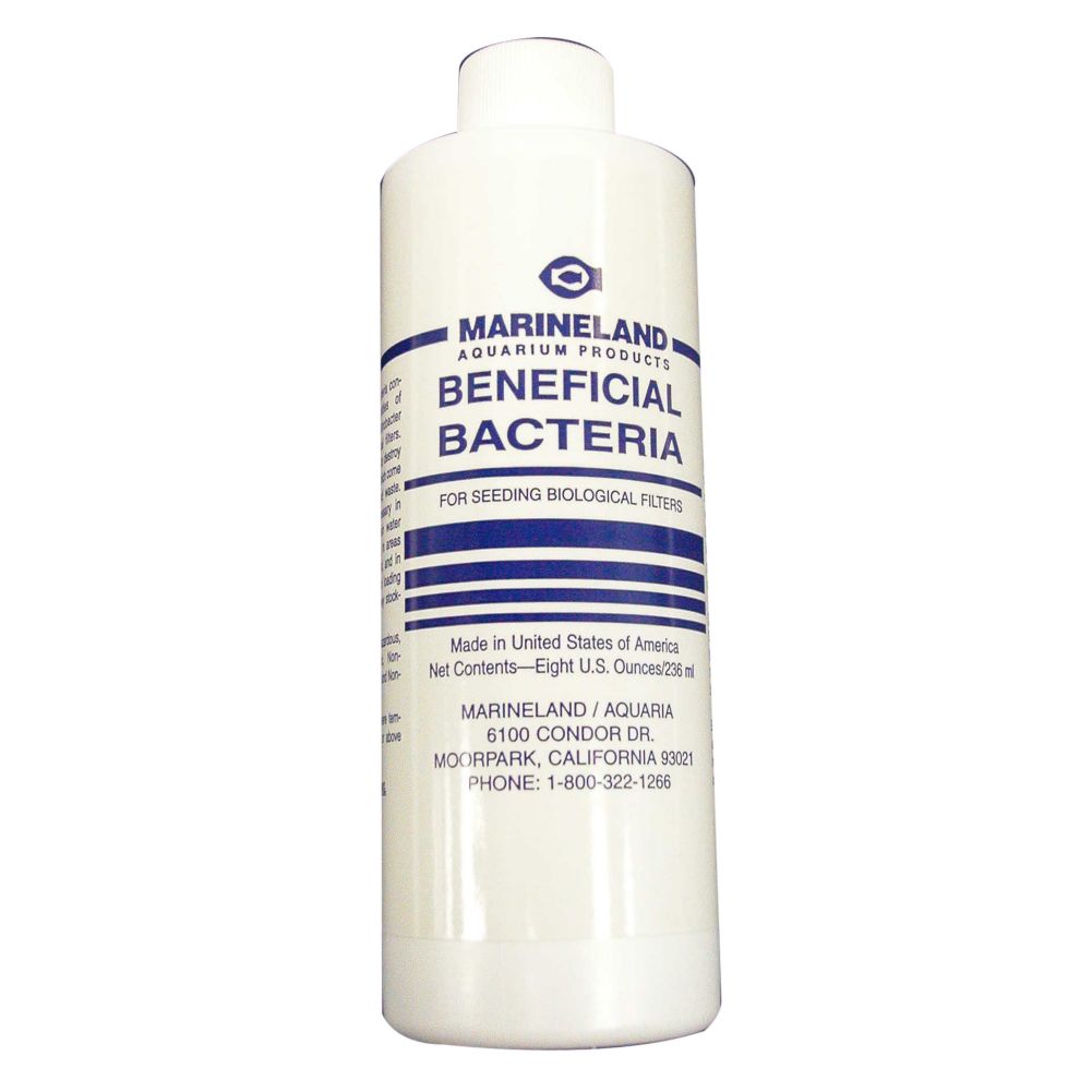 8 Oz Liquid Bacteria for Lobster Tank