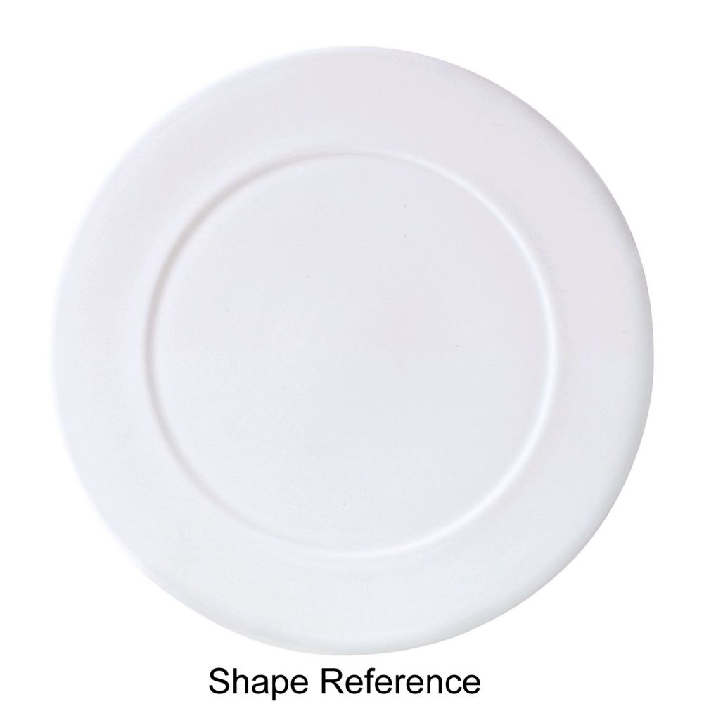 Steelite Intl. Monaco Ambassador Burgundy Presentation Plate