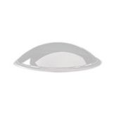Replacement Gray Dome for CamServers&reg;