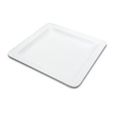 Delfin 16x16x1 in. Square ABS/Acrylic White Madison Tray