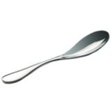 Worthy Noble & Kent S/S Ovation 8-1/4" Table Spoon