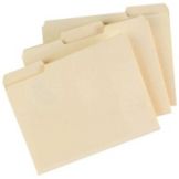 Letter Size Folder, 1/3 Cut