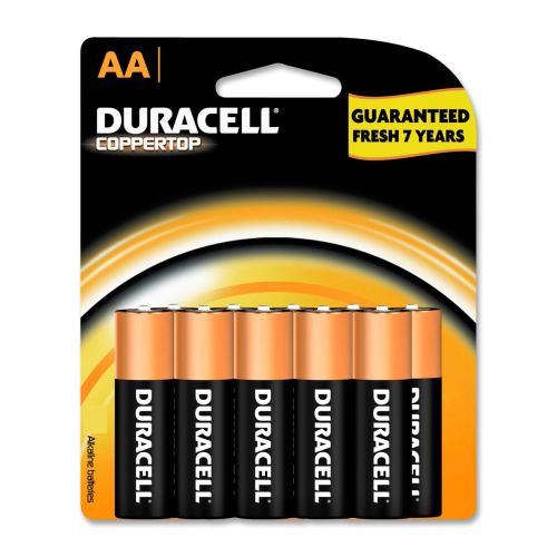 Alkaline AA Battery