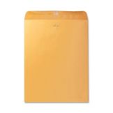 Clasp Envelope, 10" x 13"