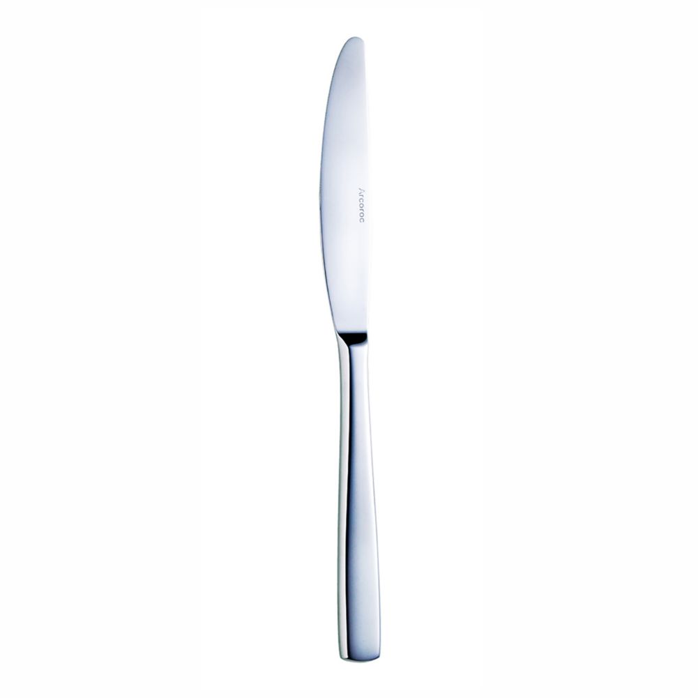 Cardinal Arcoroc Vesca S/S 9-1/4" Dinner Knife