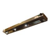 APW Wyott 18" Overhead Warmer w/Infinite Controls, 250W, FD-18L-I