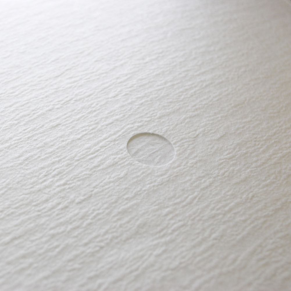 Continental 14.25x22.5 Filter Paper for Collectromatic/Winston Fryers