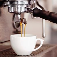 Coffee Shops