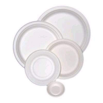 Compostable Paper Plates and Bowls