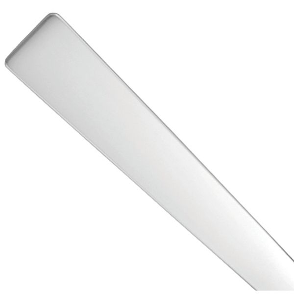 Elevation Silverplate