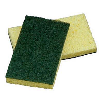 Cleaning Sponges