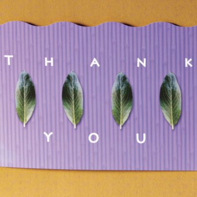 Thank You Gift Band