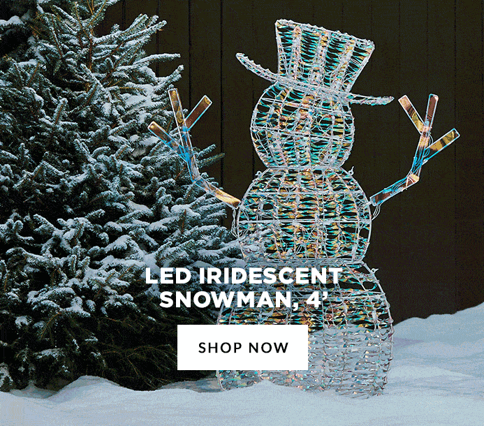 Iridescent Christmas Decor Outdoor Christmas Decorations Canadian Tire