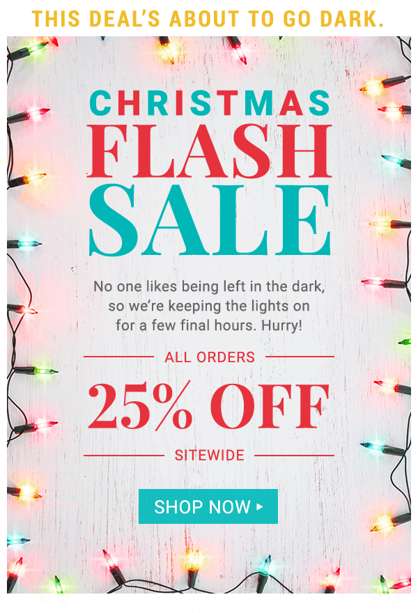 Christmas Flash Sale. 25% off all orders sitewide. Shop Now.