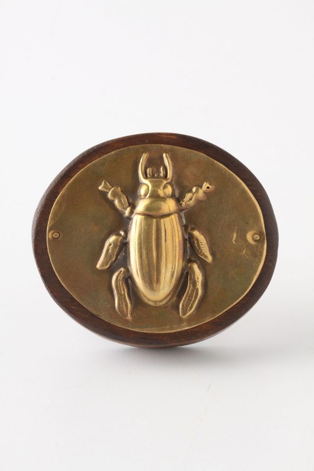 Ground Beetle Knob | Anthropologie