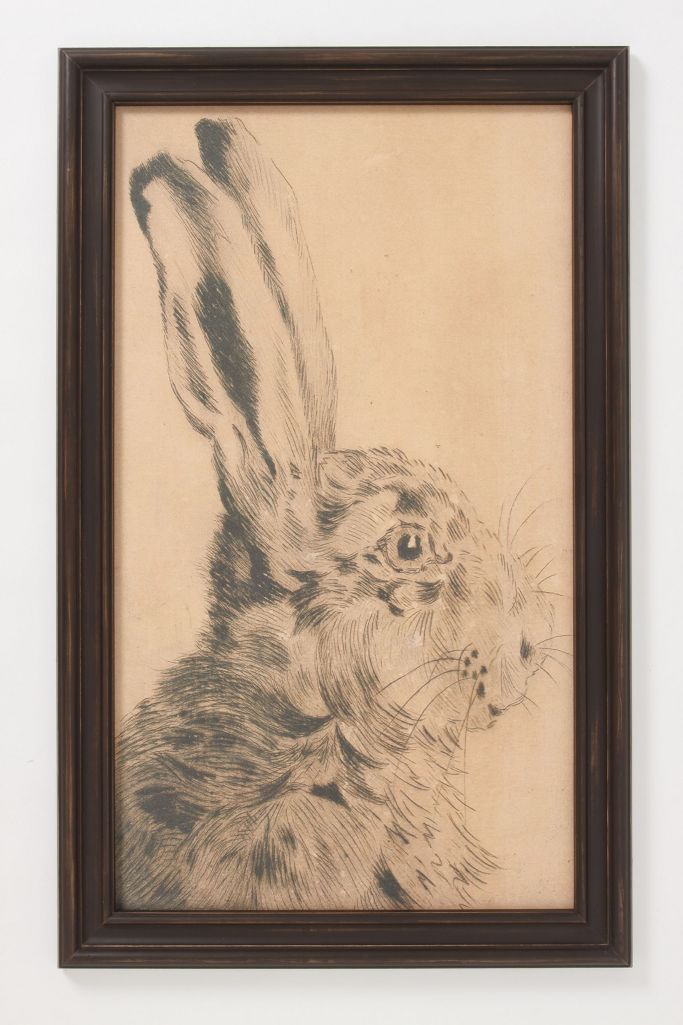 Rabbit Profile Framed Art | Anthropologie