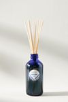 Thumbnail View 1: Capri Blue Volcano Reed Diffuser