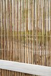 Thumbnail View 3: Willow Privacy Fence Panel