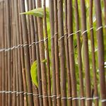 Thumbnail View 6: Willow Privacy Fence Panel