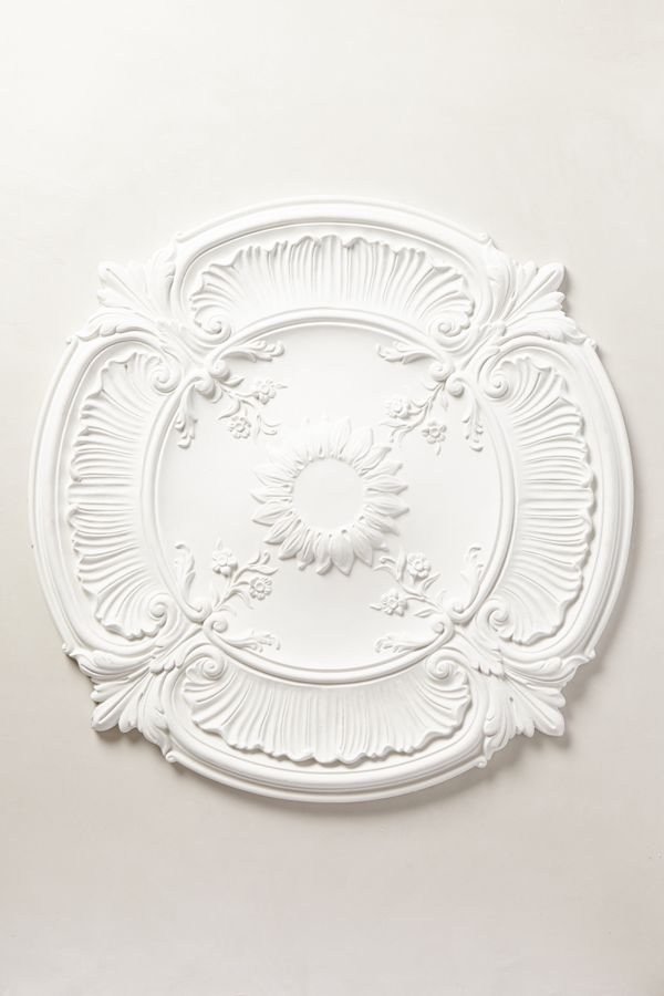 Acanthus Ceiling Medallion Anthropologie