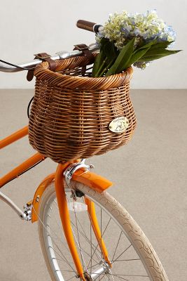 beach bike basket