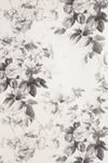 Thumbnail View 3: House of Hackney London Rose Wallpaper