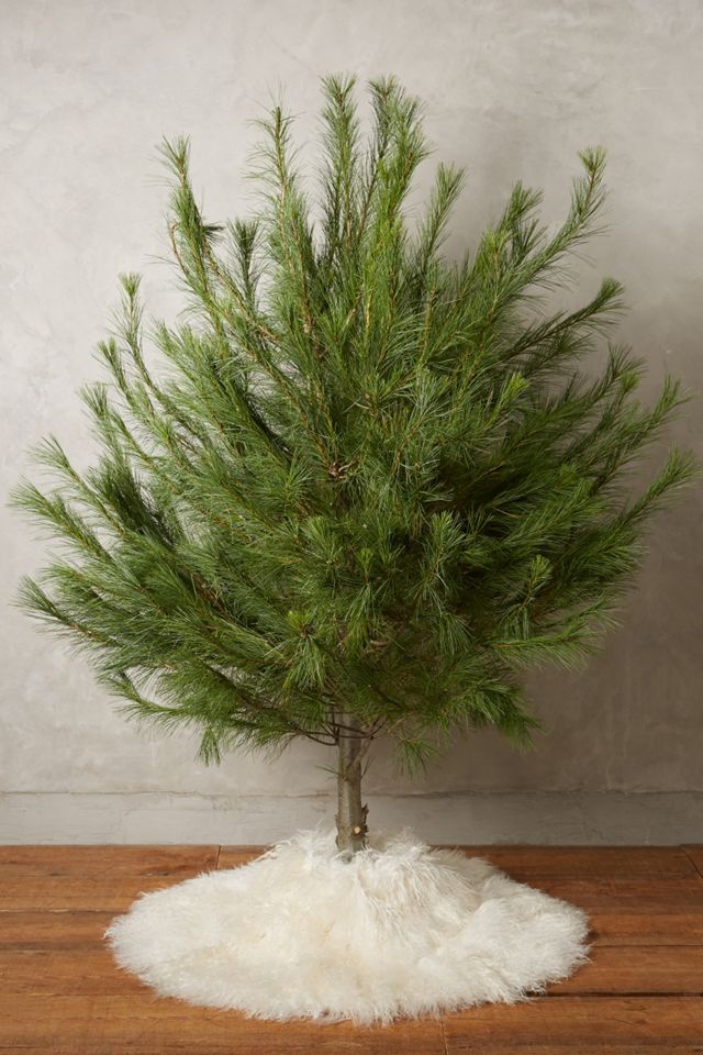 Luxe Fur Tree Skirt Anthropologie