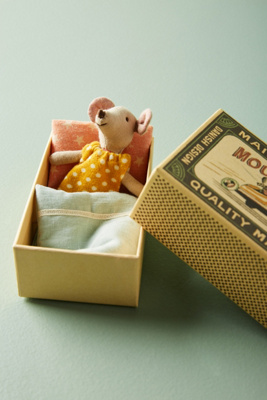 mouse in a box toy